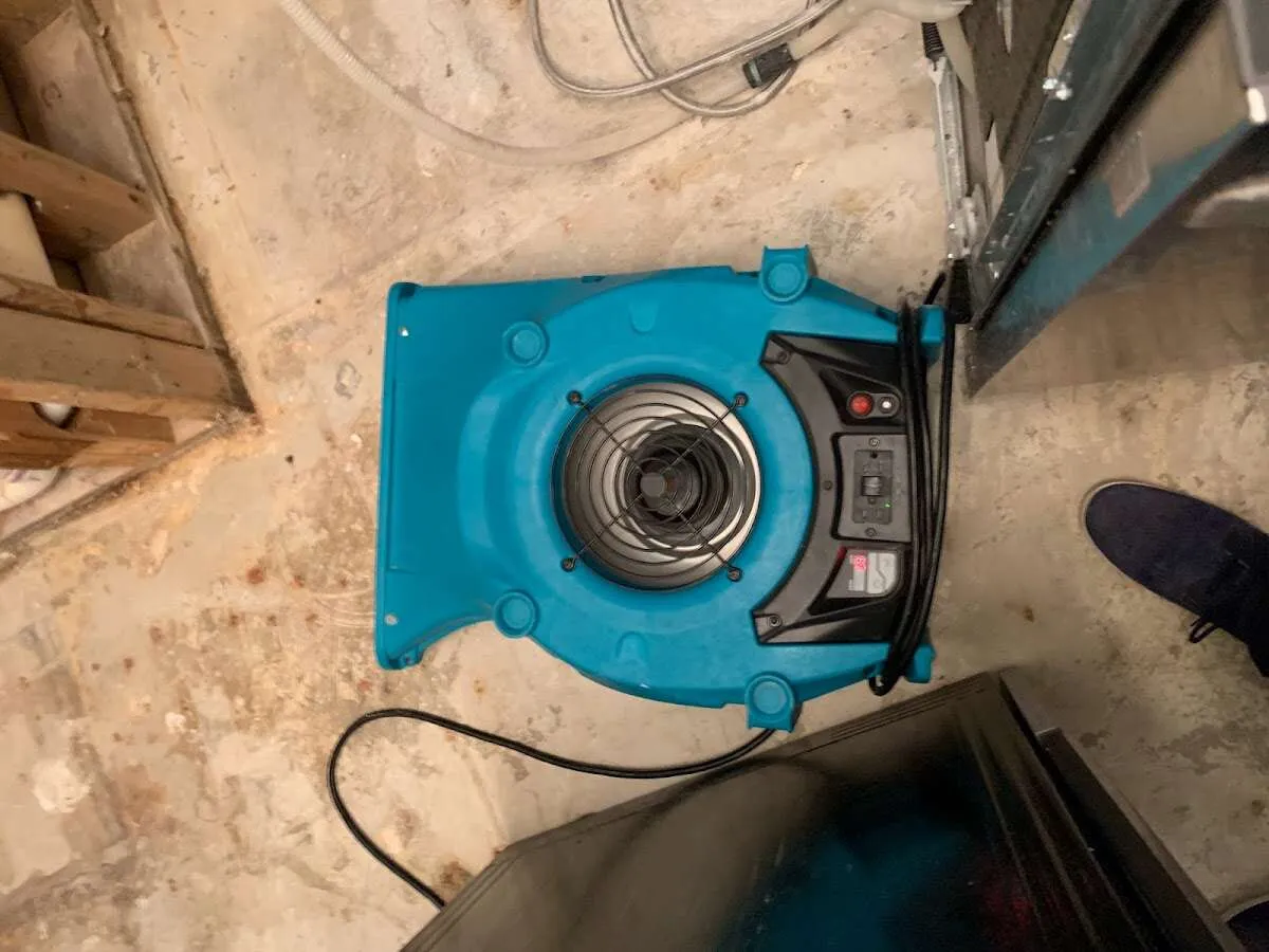 Air mover drying equipment for Mold Remediation & Removal in Seguin