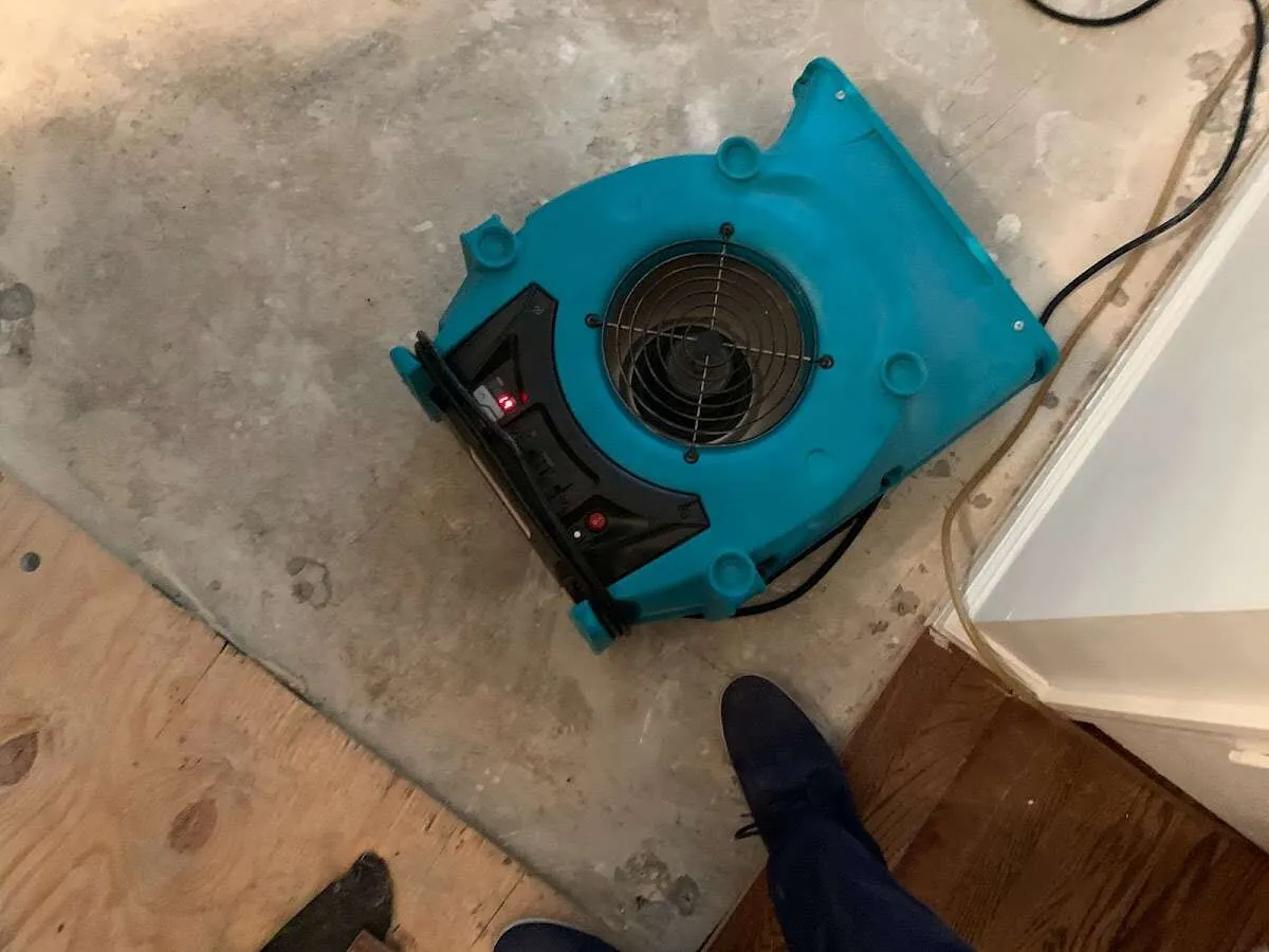 Air mover drying subfloor during Leak Detection & Repair in Seguin